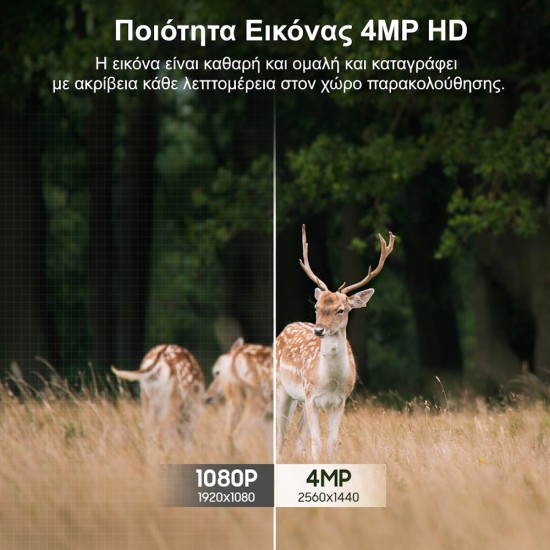 Sectec ST-517C 4G Κάμερα για Κυνηγούς, Μελισσοκόμους και Αγρότες με Εφαρμογή και Ηλιακό Πάνελ (4MP/2K/Ρομποτική 350°-170°/IP66)