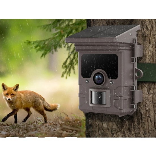 Campark TC19 Κάμερα για Μελισσοκόμους και Κυνηγούς με Ηλιακό Πάνελ (32MP/1080P/Ανιχν. Κίνησης)