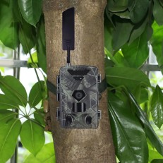 Suntek HC-881Pro Κάμερα Κυνηγιού 36MP/4G/4K/Live Video με Εφαρμογή/0.3s/IP65 Suntek HC-881Pro Κάμερα Κυνηγιού 36MP/4G/4K/Live Video με Εφαρμογή/0.3s/IP65