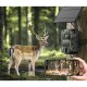 Campark TC36 4G Trail Camera με Live Video 2.5K, Ηλιακό Πάνελ, Νυχτερινή Λήψη & Ανίχνευση Κίνησης (SIM Ενσωματωμένη/IP66/10x Zoom)